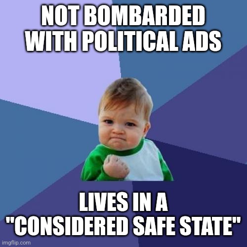 Lucky 43 states | NOT BOMBARDED WITH POLITICAL ADS; LIVES IN A "CONSIDERED SAFE STATE" | image tagged in memes,success kid | made w/ Imgflip meme maker