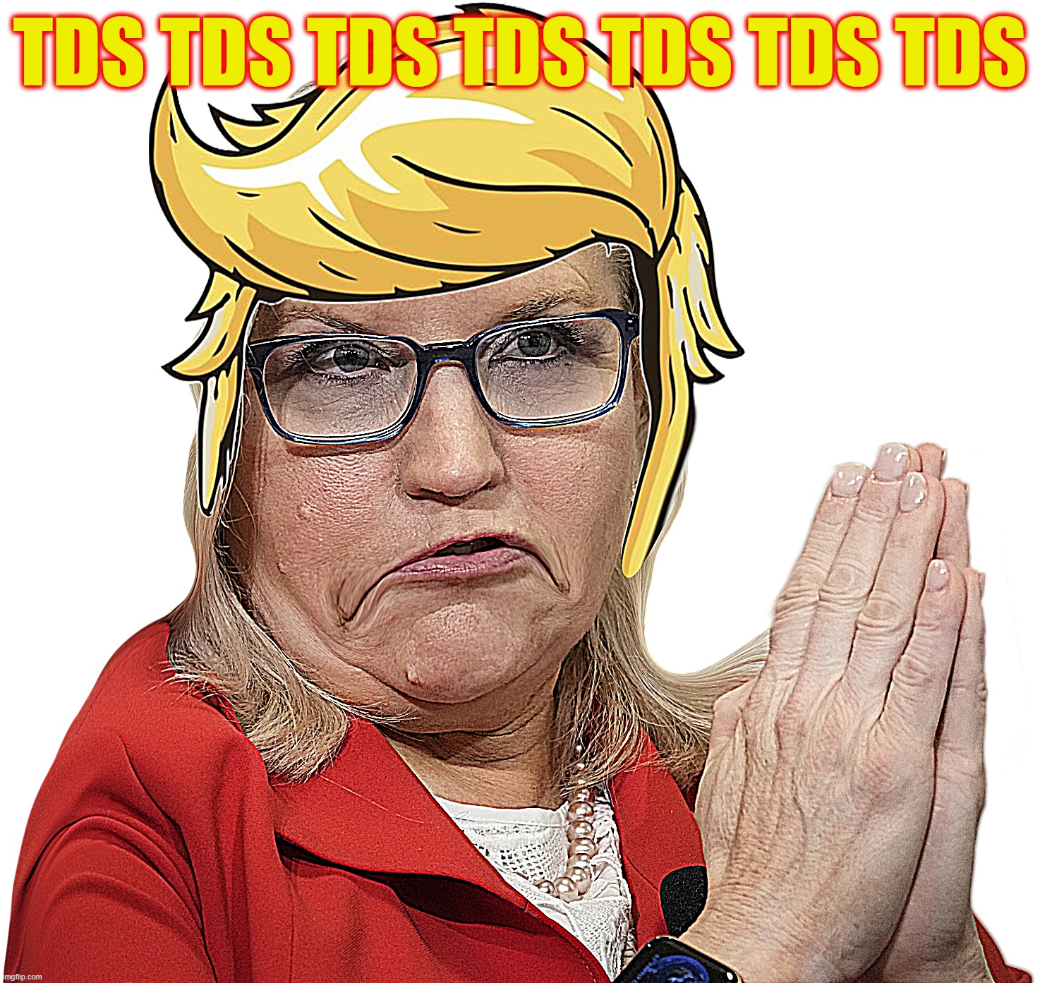 LIZ 'TDS' CHENEY | TDS TDS TDS TDS TDS TDS TDS | image tagged in liz 'tds' cheney,trump derangement syndrome,trump,liz cheney,pardon,kamala harris | made w/ Imgflip meme maker