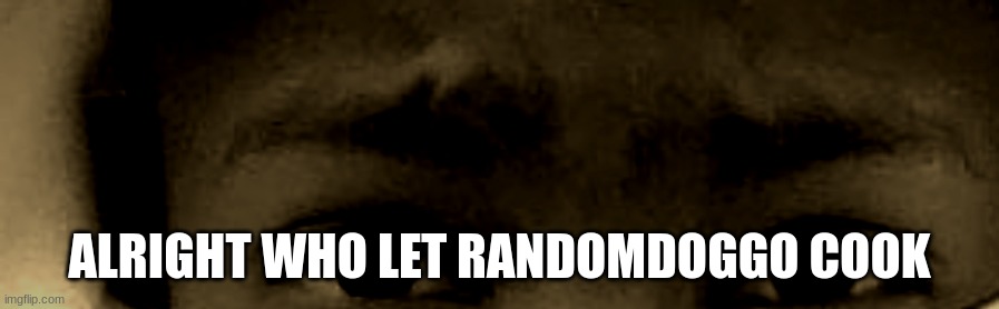 unnerved stare | ALRIGHT WHO LET RANDOMDOGGO COOK | image tagged in unnerved stare | made w/ Imgflip meme maker