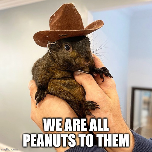 We are all Peanuts to them | WE ARE ALL PEANUTS TO THEM | image tagged in peanut the squirrel,squirrel | made w/ Imgflip meme maker