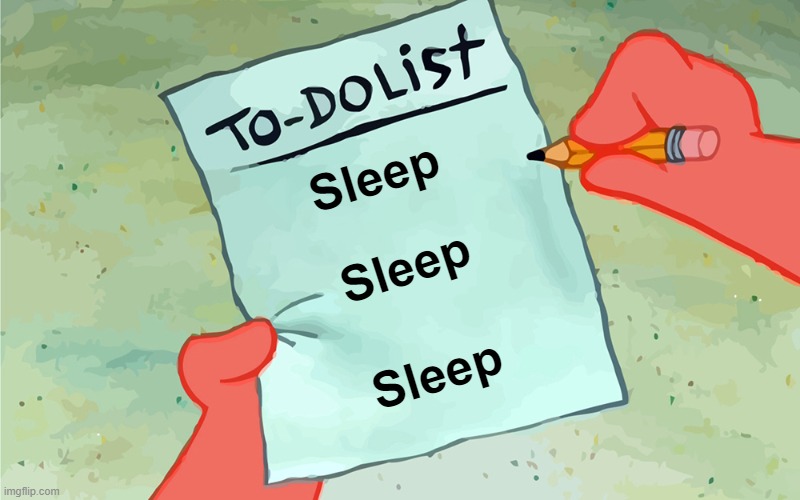 patrick to do list actually blank | Sleep; Sleep; Sleep | image tagged in patrick to do list actually blank | made w/ Imgflip meme maker