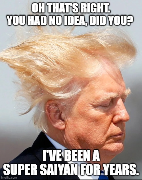 super saiyan trump hair meme vegeta quote | OH THAT'S RIGHT. YOU HAD NO IDEA, DID YOU? I'VE BEEN A SUPER SAIYAN FOR YEARS. | image tagged in dragon ball super | made w/ Imgflip meme maker