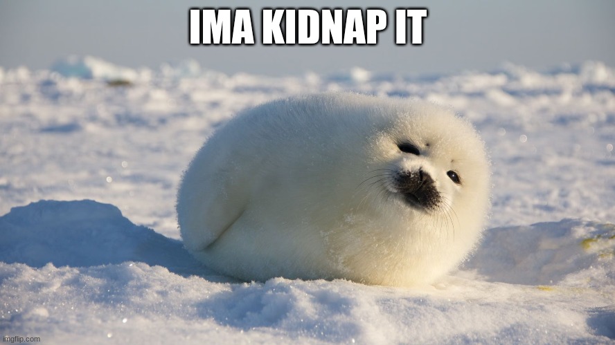 i want a seal sb bro | IMA KIDNAP IT | made w/ Imgflip meme maker