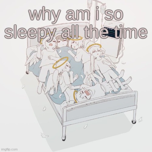 Avogado6 | why am i so sleepy all the time | image tagged in avogado6 | made w/ Imgflip meme maker