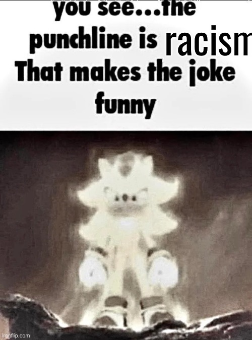 Shadow explains the joke | racism | image tagged in shadow explains the joke | made w/ Imgflip meme maker