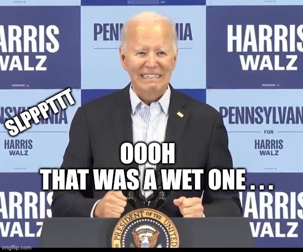 Shartted | SLPPPTTT; OOOH
    THAT WAS A WET ONE . . . | image tagged in leftists,liberals,democrats | made w/ Imgflip meme maker