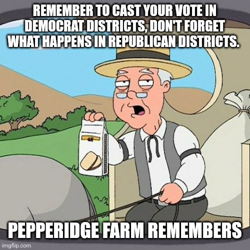 Pepperidge Farm Remembers Meme | REMEMBER TO CAST YOUR VOTE IN DEMOCRAT DISTRICTS, DON'T FORGET WHAT HAPPENS IN REPUBLICAN DISTRICTS. PEPPERIDGE FARM REMEMBERS | image tagged in memes,pepperidge farm remembers | made w/ Imgflip meme maker