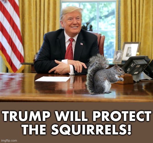 SAVE THE SQUIRRELS! | TRUMP WILL PROTECT
THE SQUIRRELS! | image tagged in president trump,donald trump,presidential election,squirrel | made w/ Imgflip meme maker