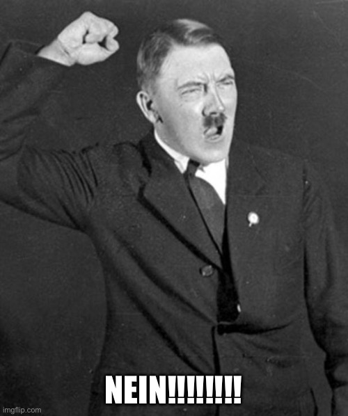 Angry Hitler | NEIN!!!!!!!! | image tagged in angry hitler | made w/ Imgflip meme maker