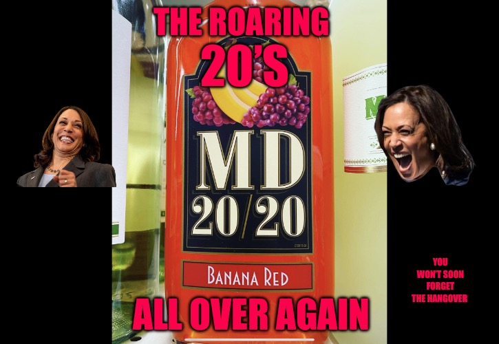 Roaring 20’s | THE ROARING; 20’S; YOU WON’T SOON FORGET THE HANGOVER; ALL OVER AGAIN | image tagged in roaring 20 s,kamala harris,political meme,political memes,hangover,madness | made w/ Imgflip meme maker