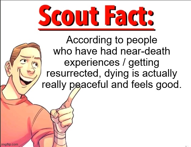 Scout Fact | According to people who have had near-death experiences / getting resurrected, dying is actually really peaceful and feels good. | image tagged in scout fact | made w/ Imgflip meme maker