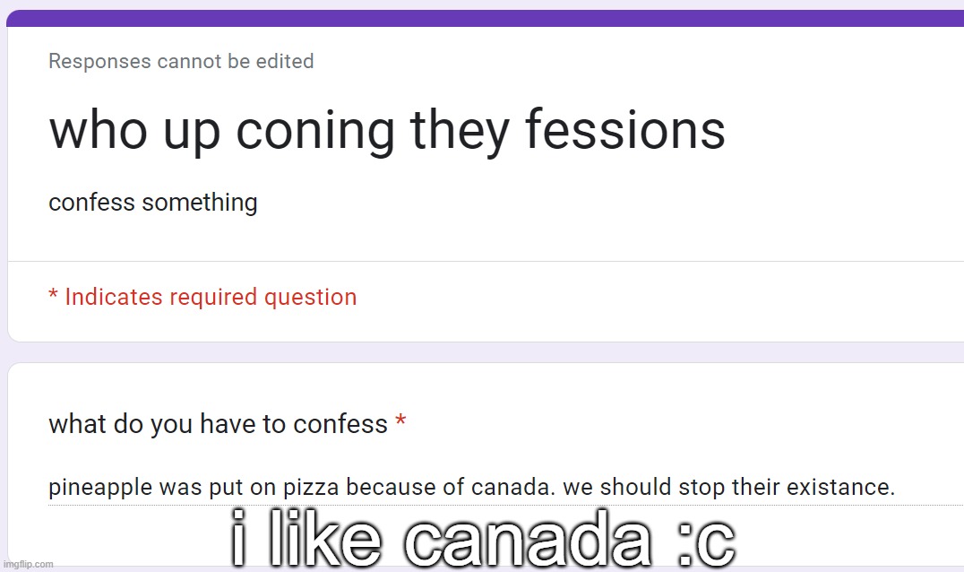 also hot take pineapple pizza is good | i like canada :c | made w/ Imgflip meme maker
