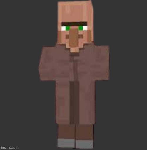 villager | image tagged in villager | made w/ Imgflip meme maker