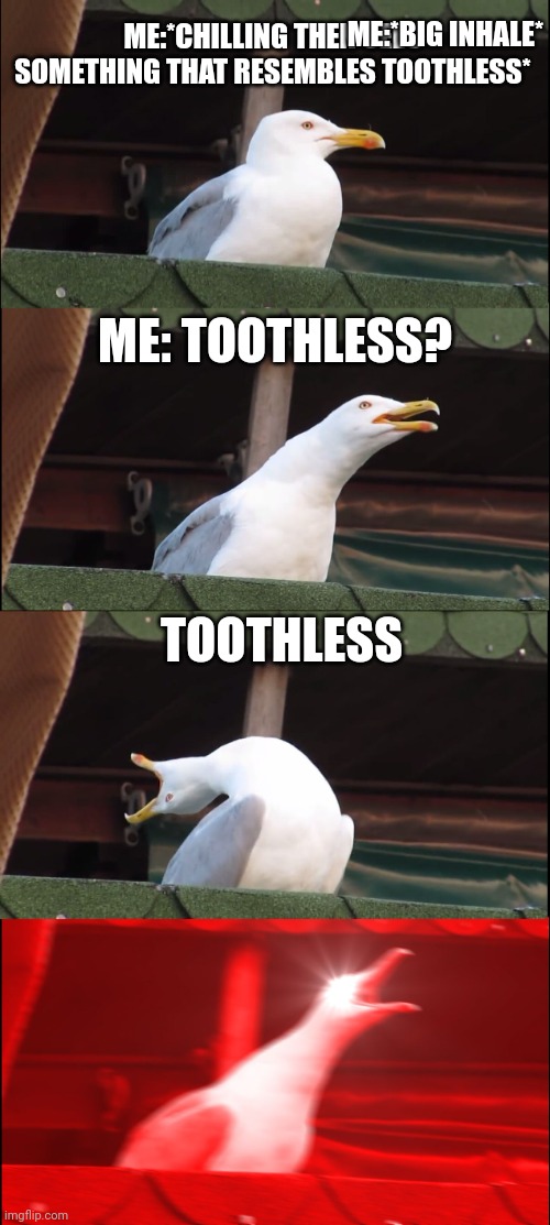 Toothless = yuppieeee | ME:*BIG INHALE*; ME:*CHILLING THEN SEES SOMETHING THAT RESEMBLES TOOTHLESS*; ME: TOOTHLESS? TOOTHLESS | image tagged in memes,inhaling seagull,toothless | made w/ Imgflip meme maker