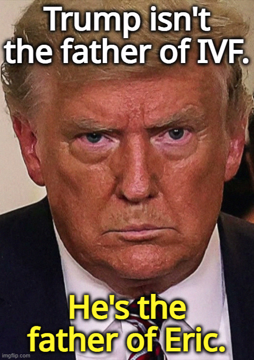 A Frustrated Father | Trump isn't the father of IVF. He's the father of Eric. | image tagged in trump angry dilated insane vicious mean frustrated,trump,father,eric,humiliation,embarrassing | made w/ Imgflip meme maker