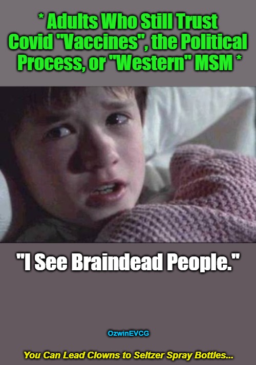 [V2] You Can Lead Clowns to Seltzer Spray Bottles... [V2] | * Adults Who Still Trust 

Covid "Vaccines", the Political 

Process, or "Western" MSM *; "I See Braindead People."; OzwinEVCG; You Can Lead Clowns to Seltzer Spray Bottles... | image tagged in i see dead people,i see braindead people,covid vaccine,government corruption,msm lies,clown world | made w/ Imgflip meme maker