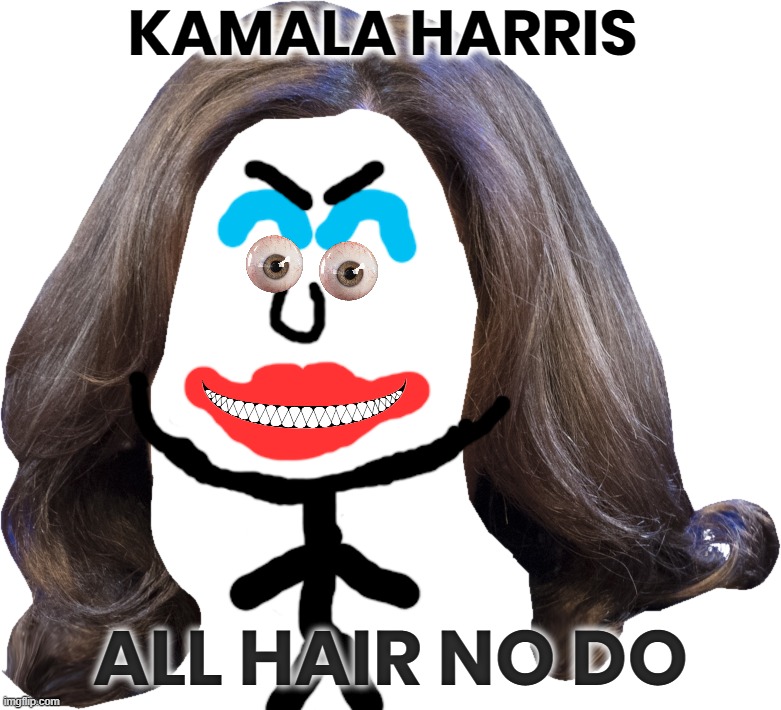 KAMALA - ALL HAIR | KAMALA HARRIS; ALL HAIR NO DO | image tagged in kamala harris,hair,biden,coup,liar,disloyal | made w/ Imgflip meme maker