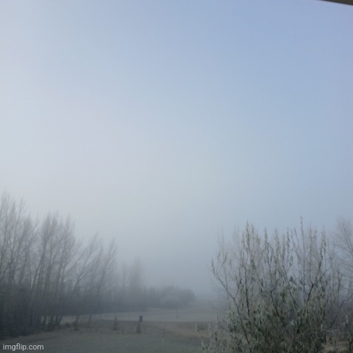 Yesterday morning | image tagged in levitation | made w/ Imgflip meme maker