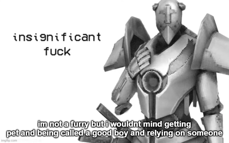 insignificant fuck | im not a furry but i wouldnt mind getting pet and being called a good boy and relying on someone | image tagged in insignificant fuck | made w/ Imgflip meme maker