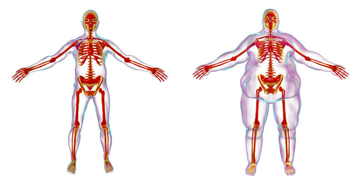 skinny vs small skeleton Blank Meme Template