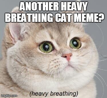 Heavy Breathing Cat | ANOTHER HEAVY BREATHING CAT MEME? | image tagged in memes,heavy breathing cat | made w/ Imgflip meme maker