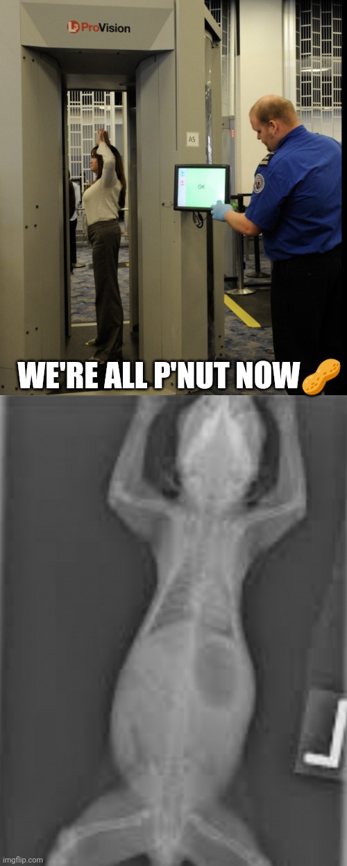 TSA Now | WE'RE ALL P'NUT NOW🥜 | image tagged in peanut,squirrel,ny,tsa,funny memes | made w/ Imgflip meme maker