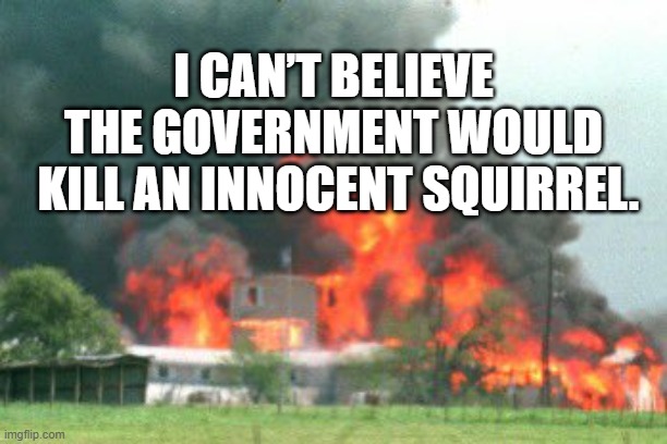 innocent squirrel | I CAN’T BELIEVE THE GOVERNMENT WOULD
 KILL AN INNOCENT SQUIRREL. | image tagged in innocent squirrel | made w/ Imgflip meme maker