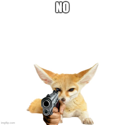 NO | image tagged in transparent fennec fox | made w/ Imgflip meme maker