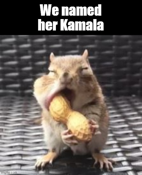 We named her Kamala | made w/ Imgflip meme maker