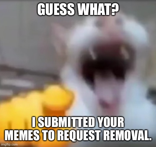 Cat pointing and laughing | GUESS WHAT? I SUBMITTED YOUR MEMES TO REQUEST REMOVAL. | image tagged in cat pointing and laughing | made w/ Imgflip meme maker