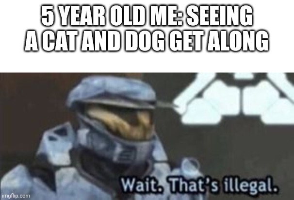 This used to mess with me so much | 5 YEAR OLD ME: SEEING A CAT AND DOG GET ALONG | image tagged in wait that's illegal,childhood | made w/ Imgflip meme maker