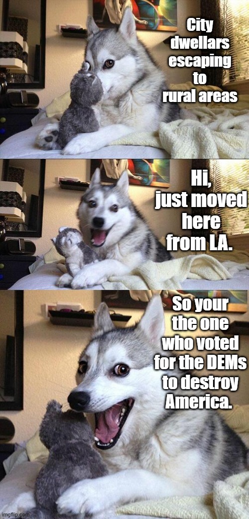 After the great escape comes , Oh no WTF do i do now. Welcome to OUR hood. OUR rules now. | City dwellars escaping to rural areas; Hi, just moved here from LA. So your the one who voted for the DEMs to destroy America. | image tagged in memes,bad pun dog | made w/ Imgflip meme maker