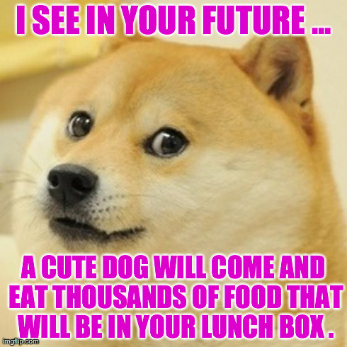 Doge | I SEE IN YOUR FUTURE ... A CUTE DOG WILL COME AND EAT THOUSANDS OF FOOD THAT WILL BE IN YOUR LUNCH BOX . | image tagged in memes,doge | made w/ Imgflip meme maker