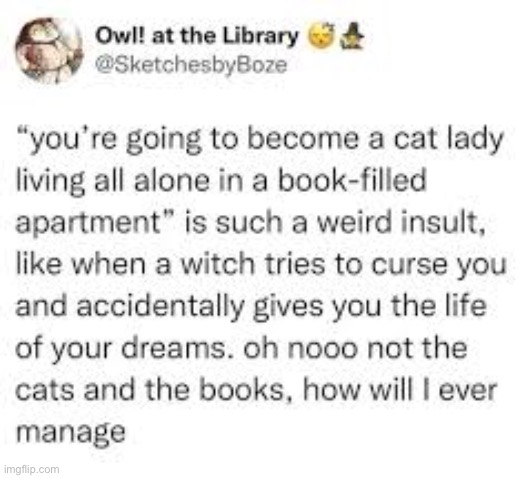 Found This | image tagged in honestly gold,freaking gold,cat lover goals,nerd goals,judge me all you want | made w/ Imgflip meme maker