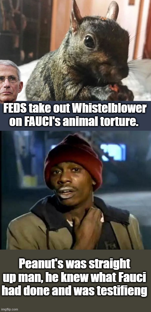 Pure evil wacking a squirrel | FEDS take out Whistelblower on FAUCI's animal torture. Peanut's was straight up man, he knew what Fauci had done and was testifieng | image tagged in memes,y'all got any more of that | made w/ Imgflip meme maker