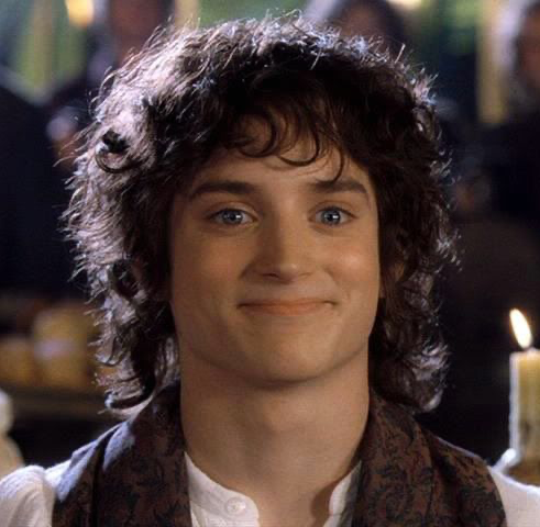 Smug Frodo Blank Meme Template