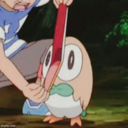 Mouth Wide Open Rowlet | image tagged in mouth wide open rowlet | made w/ Imgflip meme maker