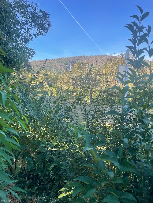 Beautiful fucking place im in rn | made w/ Imgflip meme maker