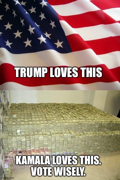 TRUMP LOVES THIS; KAMALA LOVES THIS.
VOTE WISELY. | image tagged in american flag,pile of money | made w/ Imgflip meme maker