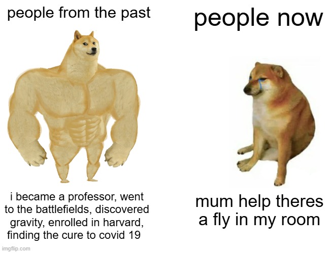 mum help | people from the past; people now; i became a professor, went to the battlefields, discovered gravity, enrolled in harvard, finding the cure to covid 19; mum help theres a fly in my room | image tagged in memes,buff doge vs cheems | made w/ Imgflip meme maker