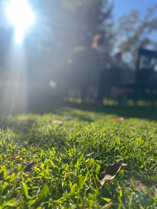 IM AN EXPERT HOLY SHI | made w/ Imgflip meme maker