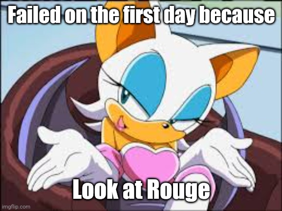 Rouge the Bat | Failed on the first day because; Look at Rouge | image tagged in rouge the bat | made w/ Imgflip meme maker