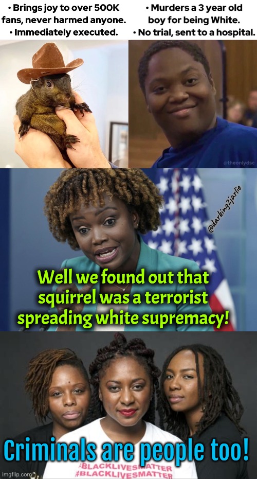 Squirrels are racist. Criminals lives matter! | @darking2jarlie; Well we found out that squirrel was a terrorist spreading white supremacy! Criminals are people too! | image tagged in democrats,liberal logic,liberals,peanut,america,socialism | made w/ Imgflip meme maker