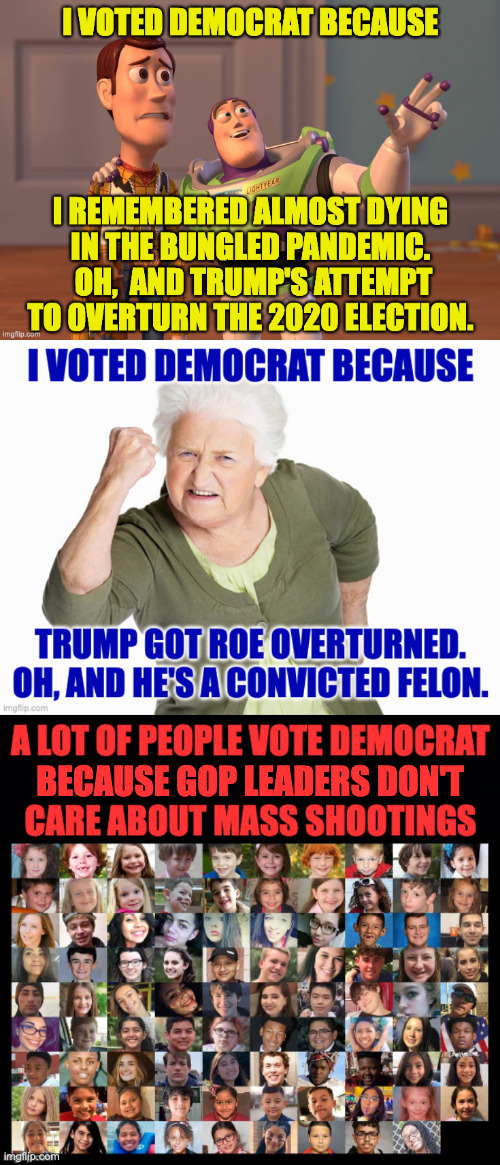 Some things to think about. | BECAUSE GOP LEADERS DON'T | image tagged in memes,opinion piece,vote | made w/ Imgflip meme maker