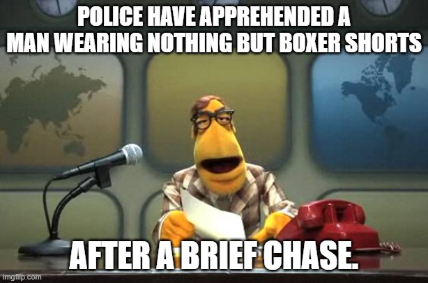 Muppet News Flash | POLICE HAVE APPREHENDED A MAN WEARING NOTHING BUT BOXER SHORTS; AFTER A BRIEF CHASE. | image tagged in muppet news flash,underwear,boxers,police chasing guy,bad jokes | made w/ Imgflip meme maker