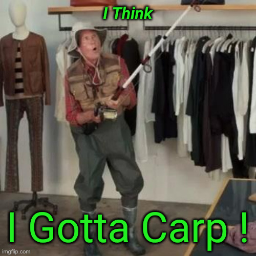 State Farm Fisherman  | I Think I Gotta Carp ! | image tagged in state farm fisherman | made w/ Imgflip meme maker