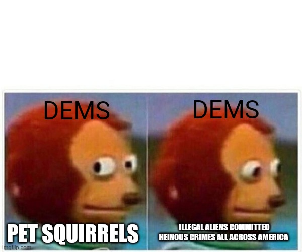 THOSE NAZI SQUIRRELS MUST DIE!!! | DEMS; DEMS; ILLEGAL ALIENS COMMITTED HEINOUS CRIMES ALL ACROSS AMERICA; PET SQUIRRELS | image tagged in memes,monkey puppet,democrats,squirrels,animals,cruel | made w/ Imgflip meme maker