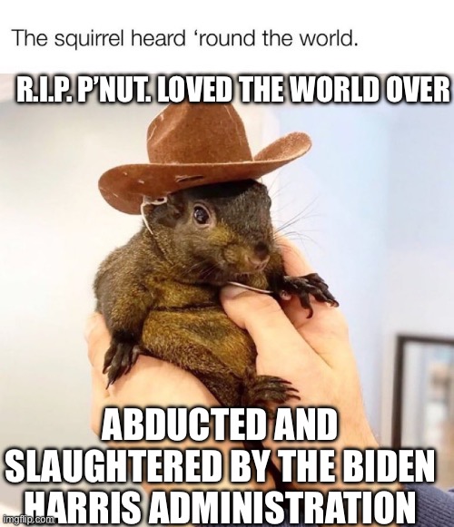 Biden And Harris Slaughter P’Nut | R.I.P. P’NUT. LOVED THE WORLD OVER; ABDUCTED AND SLAUGHTERED BY THE BIDEN HARRIS ADMINISTRATION | image tagged in peanut,pnut | made w/ Imgflip meme maker