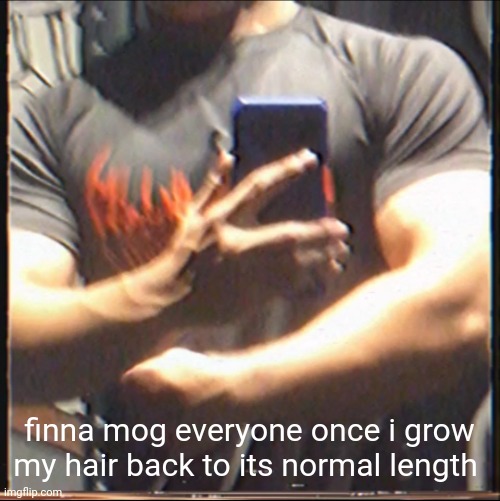 kinda wish to grow it longer ngl | finna mog everyone once i grow my hair back to its normal length | image tagged in ye | made w/ Imgflip meme maker