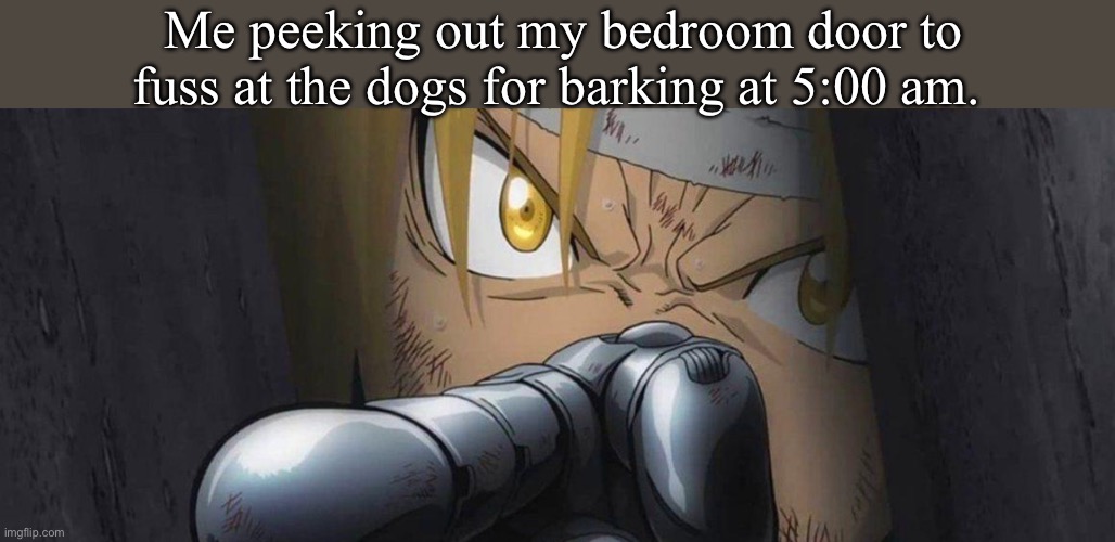 "SHUT UP! I'm trying to sleep in here!" | Me peeking out my bedroom door to fuss at the dogs for barking at 5:00 am. | image tagged in fullmetal alchemist,dogs,funny memes,edward,barking,dog memes | made w/ Imgflip meme maker